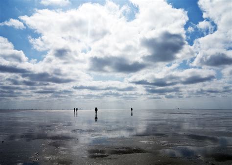 The International Wadden Sea (NL/D/DK) – Linking Tourism & Conservation