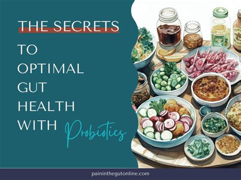 The Secrets to Optimal Gut Health with Probiotics - Pain In The Gut