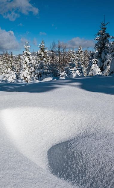 Premium Photo | Alpine mountain snowy winter fir forest with snowdrifts