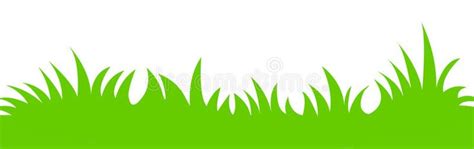 Grass vector. Green grass illustration isolated white background ...