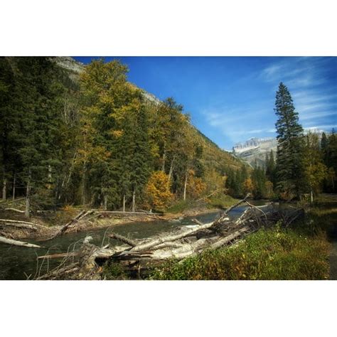 Scenic Seasons Montana Sky Autumn Fall Landscape-12 Inch BY 18 Inch Laminated Poster With Bright ...