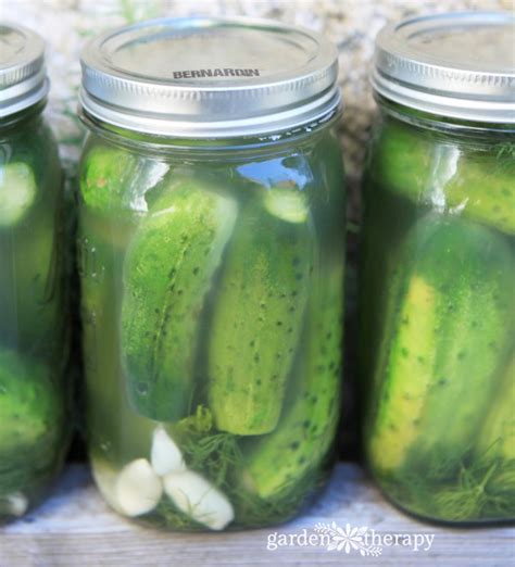 The Best Ever Deli-Style Sour Pickles Recipe. Ever. Seriously. - Garden ...