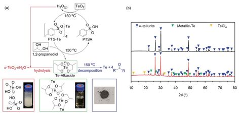 Chemical reactions during Te-alkoxide preparation. (a) Catalyzed cyclic... | Download Scientific ...