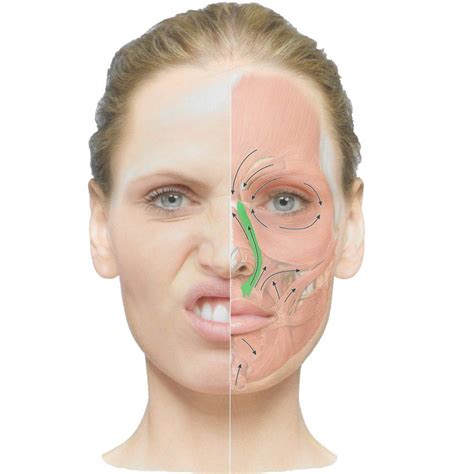 Botox for nasolabial folds - Cosmetic Surgery Tips