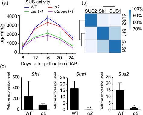 Total SUS activity and transcript levels of the three Sus genes in the ...