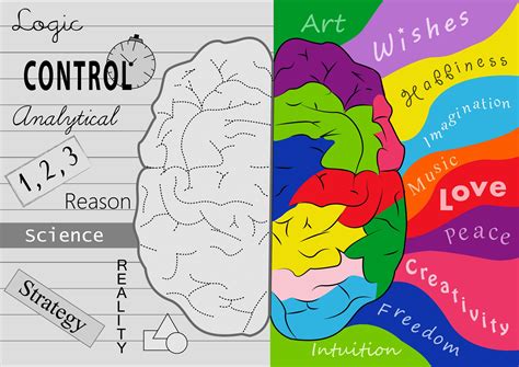 Which side of your brain? - ALOHA Mind Math