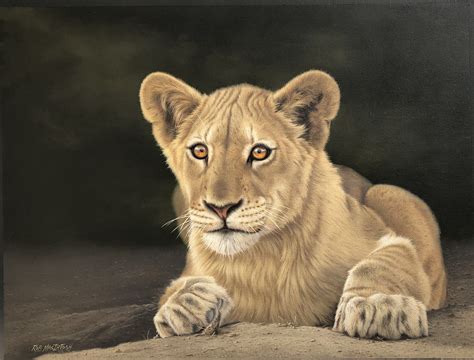 Lion Cub - Mo's Gallery