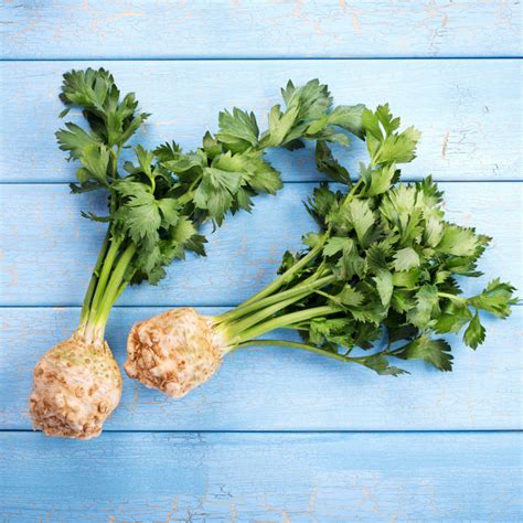 Growing Celeriac - Our Little Suburban Farmhouse