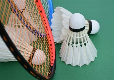 Badminton Shuttlecock Types Best Sale | cityofclovis.org