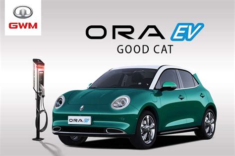 Is the Ora Good Cat EV worth the buy? - Automacha