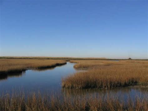 La Marque, Texas, Galveston County.