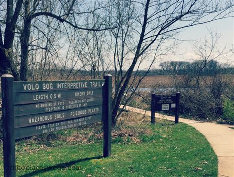 Outdoor Family Fun: Volo Bog State Natural Area in Ingleside - O the ...