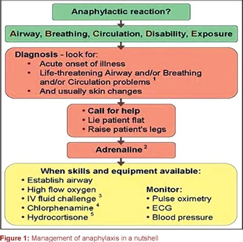 Anaphylaxis Shock Treatment