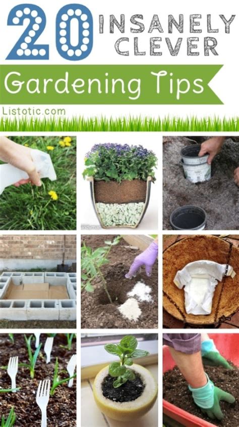 20 Insanely Clever Gardening Tips - Homestead & Survival