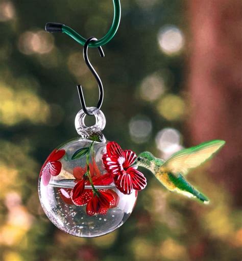 Buy or make DIY hummingbird feeder for your home garden