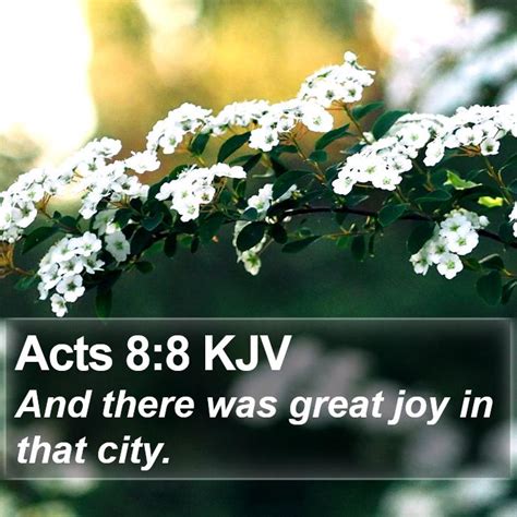 Acts 8:8 KJV - And there was great joy in that