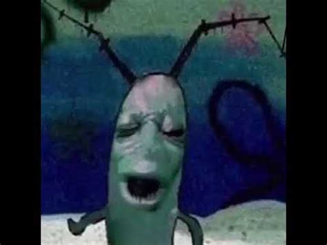 Plankton got served - YouTube