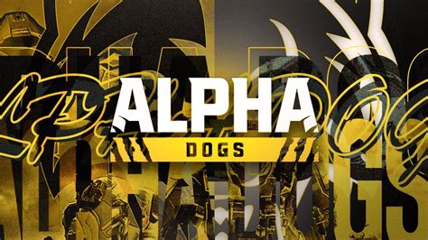 Alpha Dogs on Twitter: "Unleash your inner Alpha Dog! 🐺 We are a family ...