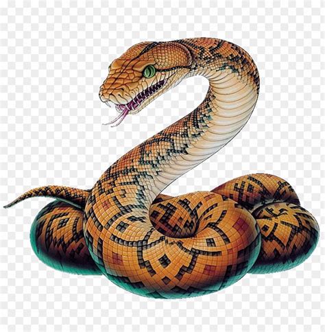 snake png image - python snake drawi PNG image with transparent background | TOPpng