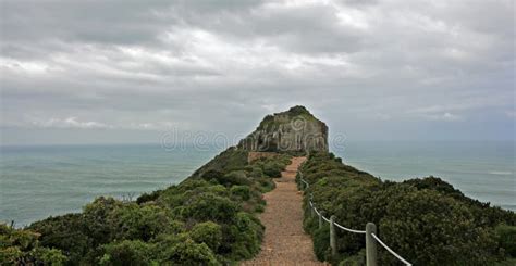 Cape Point, Cape Peninsula National Park Stock Photo - Image of good, peninsula: 12776126