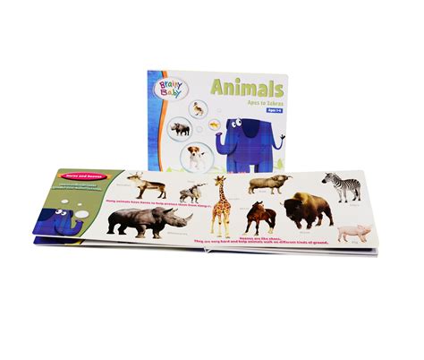 Animals Book,Flashcards | Dvds Collections – The Brainy Store