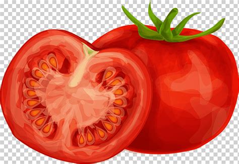 Dibujo de tomate cherry vegetal, tomate., alimentos naturales, comida, fotografía png | Klipartz