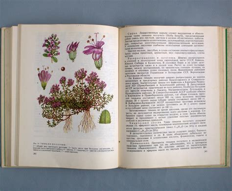 Medicinal herbs plant books Vintage botanical book Cottagecore | Etsy