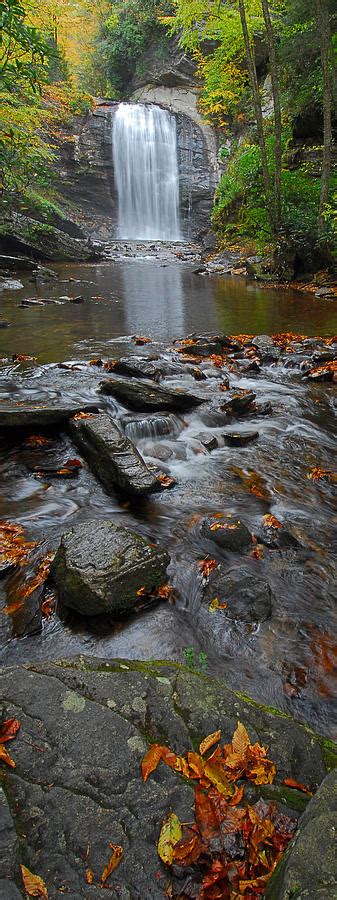 Looking Glass Falls Photograph by Alan Lenk - Fine Art America