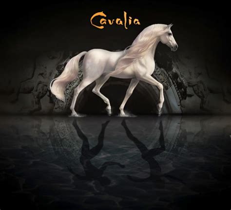 Cavalia | Grinning Cheek To cheek