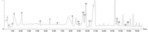 Base peak chromatogram of the compounds identified in the basil leaf.... | Download Scientific ...