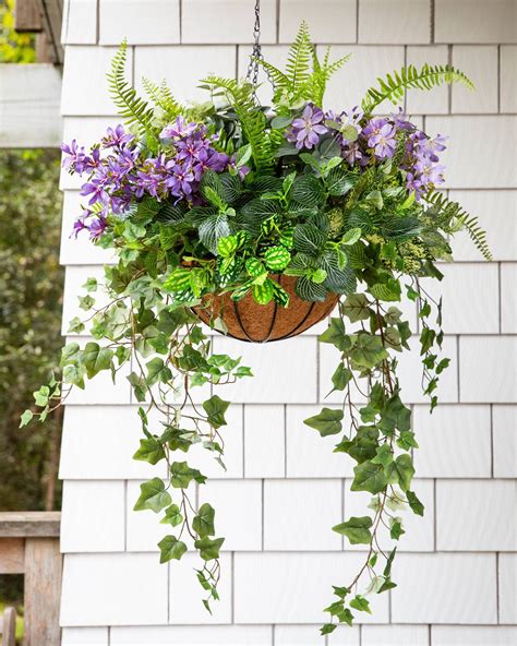 Floral Fern Hanging Basket | Hanging garden, Hanging plants outdoor ...