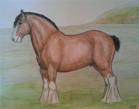 Clydesdale sketch in pencil and watercolor by K. Meyer #drawing #art ...