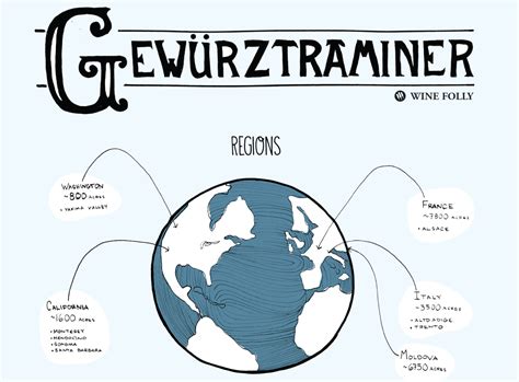 Tips on Finding the Perfect Dry Gewürztraminer | Wine Folly