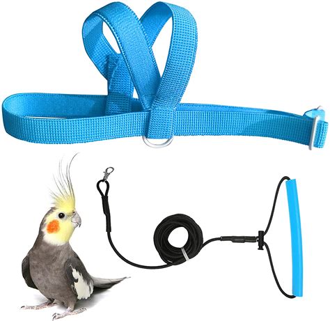 Bird Harness For Cockatiel | ubicaciondepersonas.cdmx.gob.mx