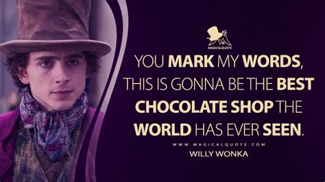 Wonka (2023) Movie Quotes - MagicalQuote