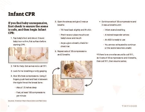 Safety 101: Essential CPR & Choking Refresher for Babies 0-12 Months ...