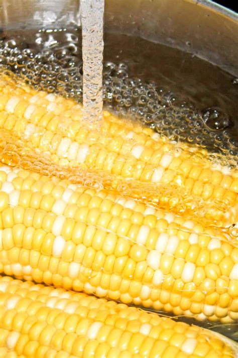 Boiling Corn on The Cob - Erren's Kitchen