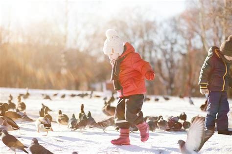 Premium Photo | Children in winter park play