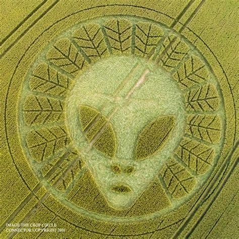 UFO - the awareness of humanity.: WOW! ALIEN FACE IN CROP CIRCLE Reigate Hill, nr Reigate ...