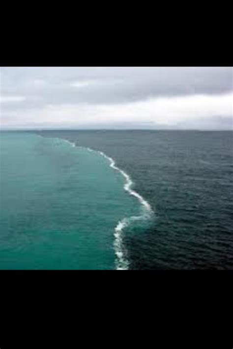 Gulf of Alaska two oceans meet but do not mix!? : WTF