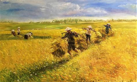Những bức tranh vẽ gặt lúa đơn giản mà đẹp