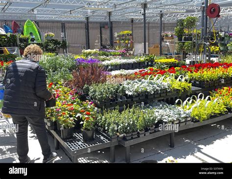 Walmart garden center hi-res stock photography and images - Alamy