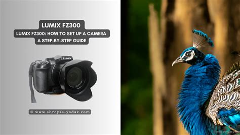 Lumix FZ300: How to set up a camera