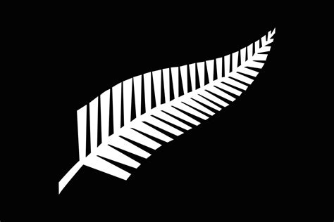 New Zealand Fern Vector at Vectorified.com | Collection of New Zealand Fern Vector free for ...