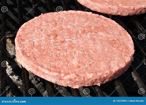 Frozen Hamburger Patties on the Grill Stock Image - Image of frozen, close: 13576993