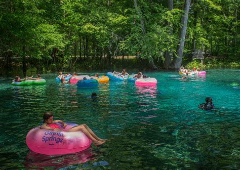 Ginnie Springs - Visit Natural North Florida