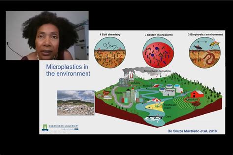 Microplastics in the Terrestrial Environment - Endplasticsoup