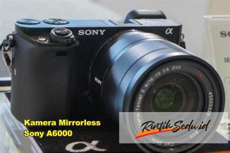 Review Kamera Mirrorless Sony A6000 Update 2023