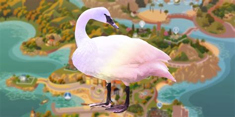 Bizarre Sims 4 Swan Glitch Adds Surreal Beauty To The Game