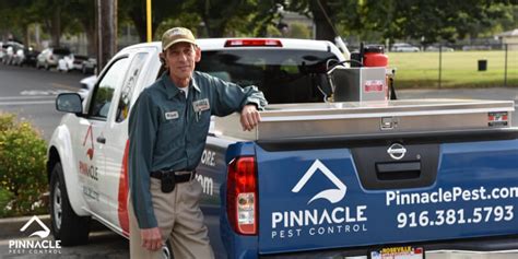 5 Ways: How to Get Rid of Roof Rats in Walls - Pinnacle Pest Control